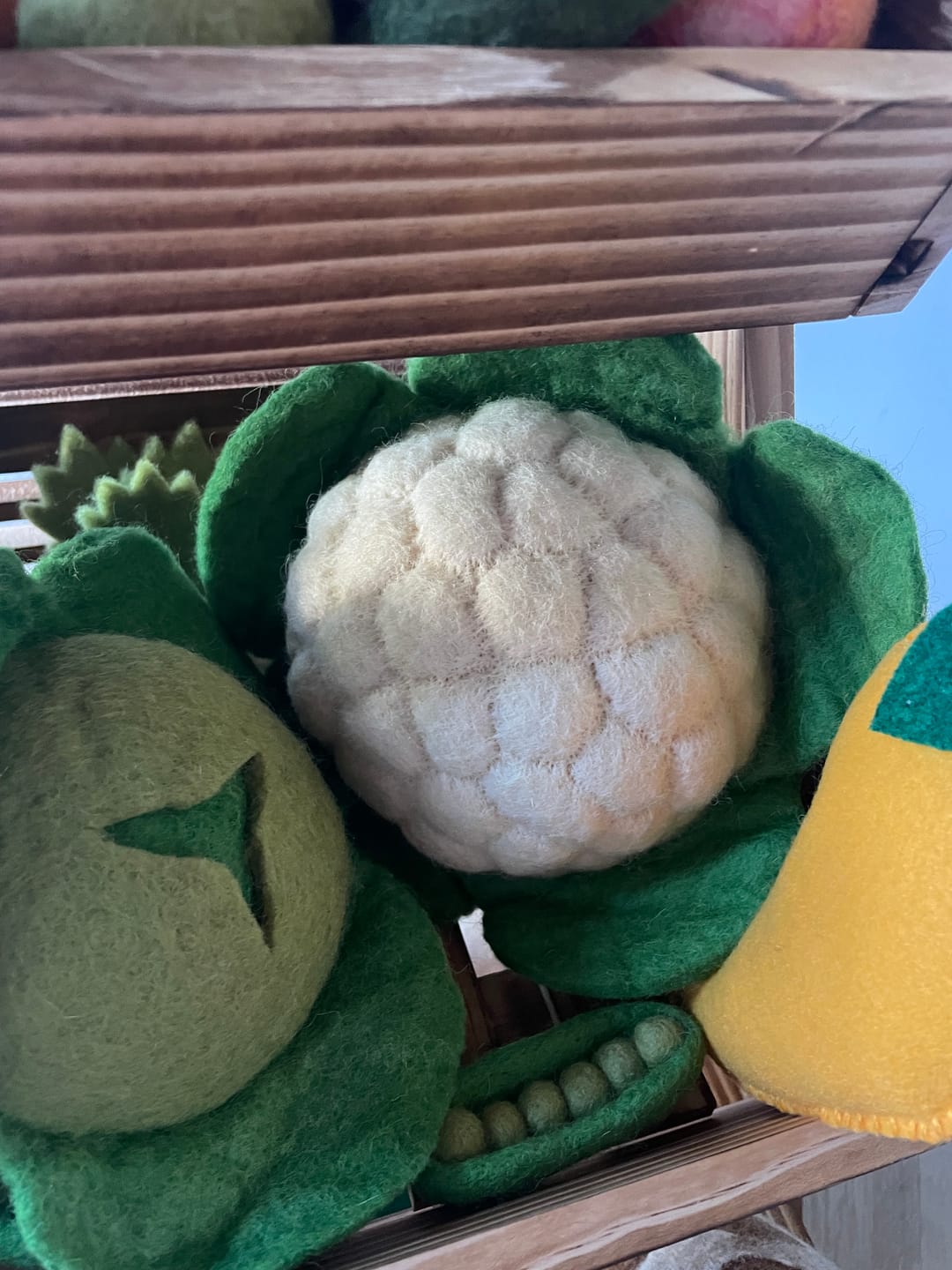 Customer photo review of Felt Vegetables and Fruits - Pick and Choose
