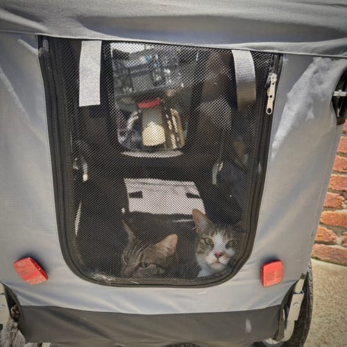 Customer photo review of PaWz Pet Stroller Bike Trailer Stroller Foldable Pet Trailer 3-IN-1 Outdoor With Sunroof