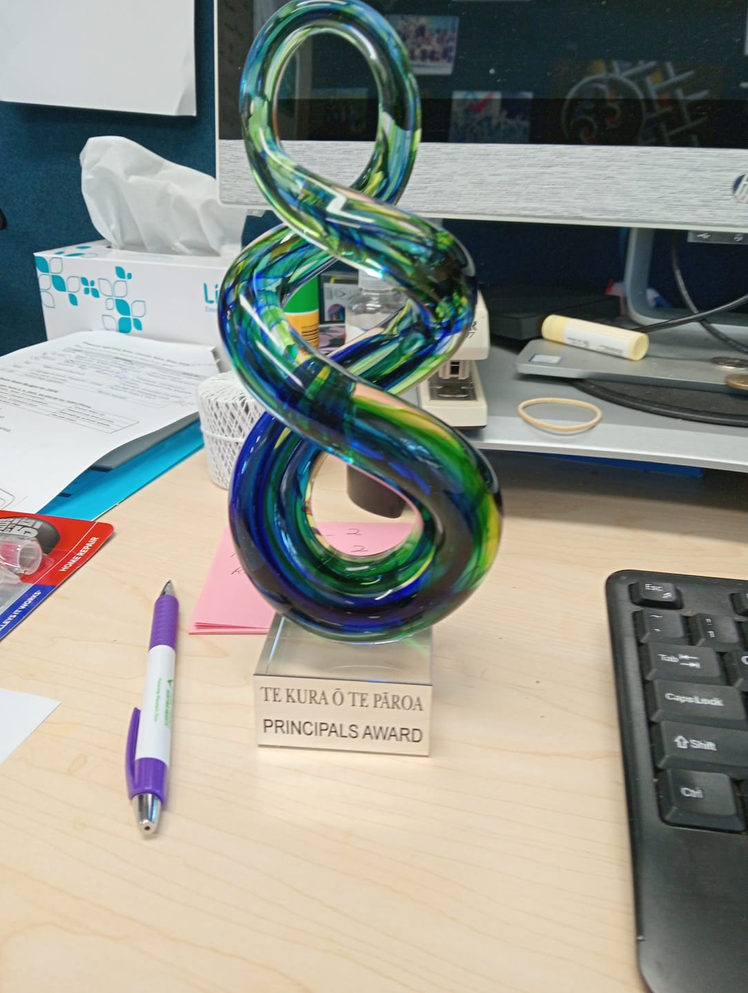 Customer photo review of Maori Glass Double Twist Pikorua Trophy Ornament