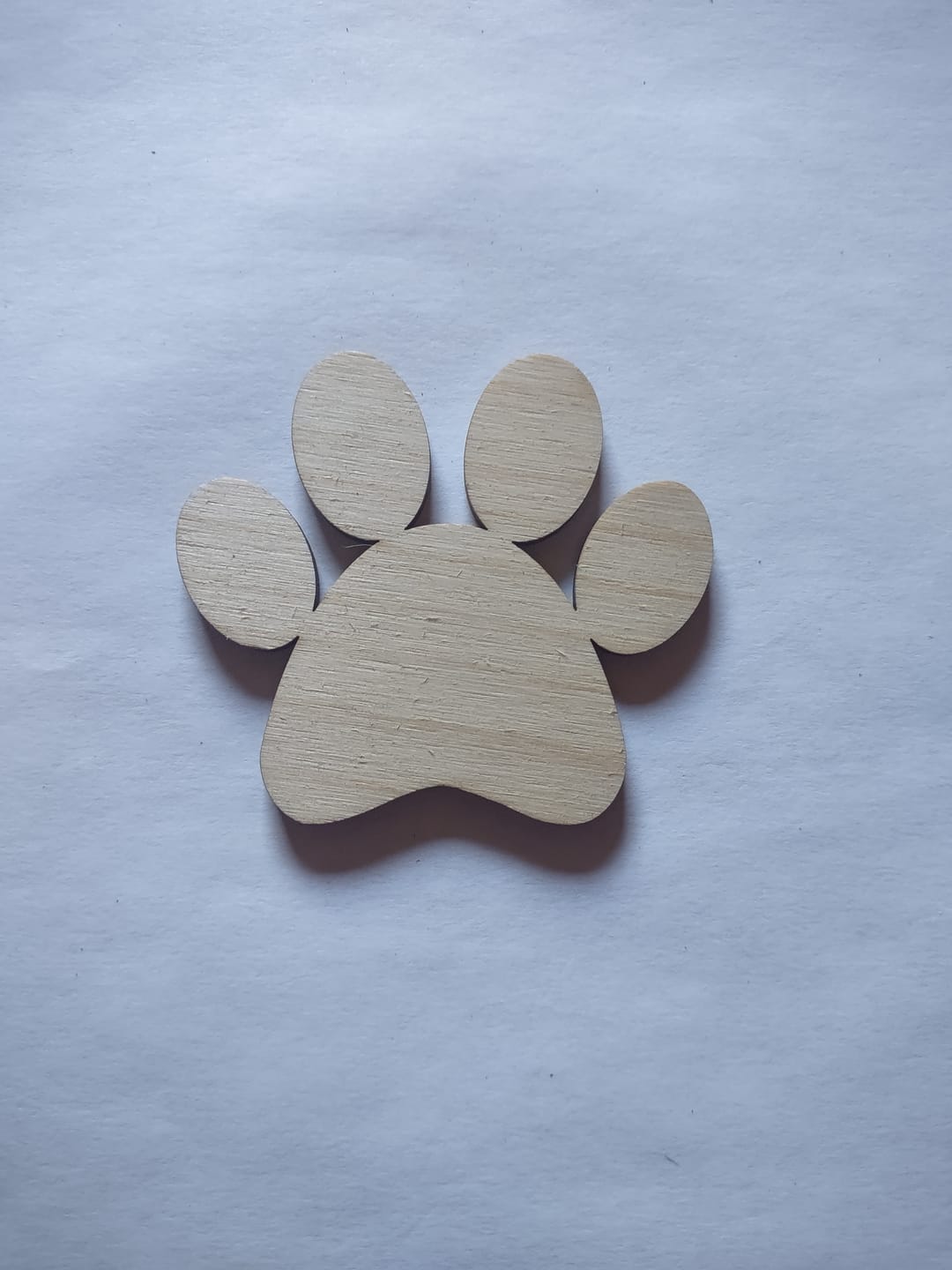 Customer photo review of Unfinished Wood Paw Print Shape - Pet Craft - up to 36"