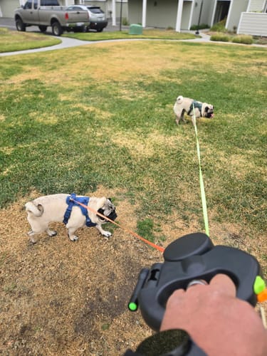 Customer photo review of TangleFree