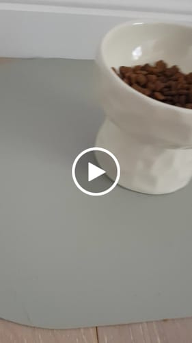 Customer video review of Ceramic Raised Pet Bowl for Cats and Dogs