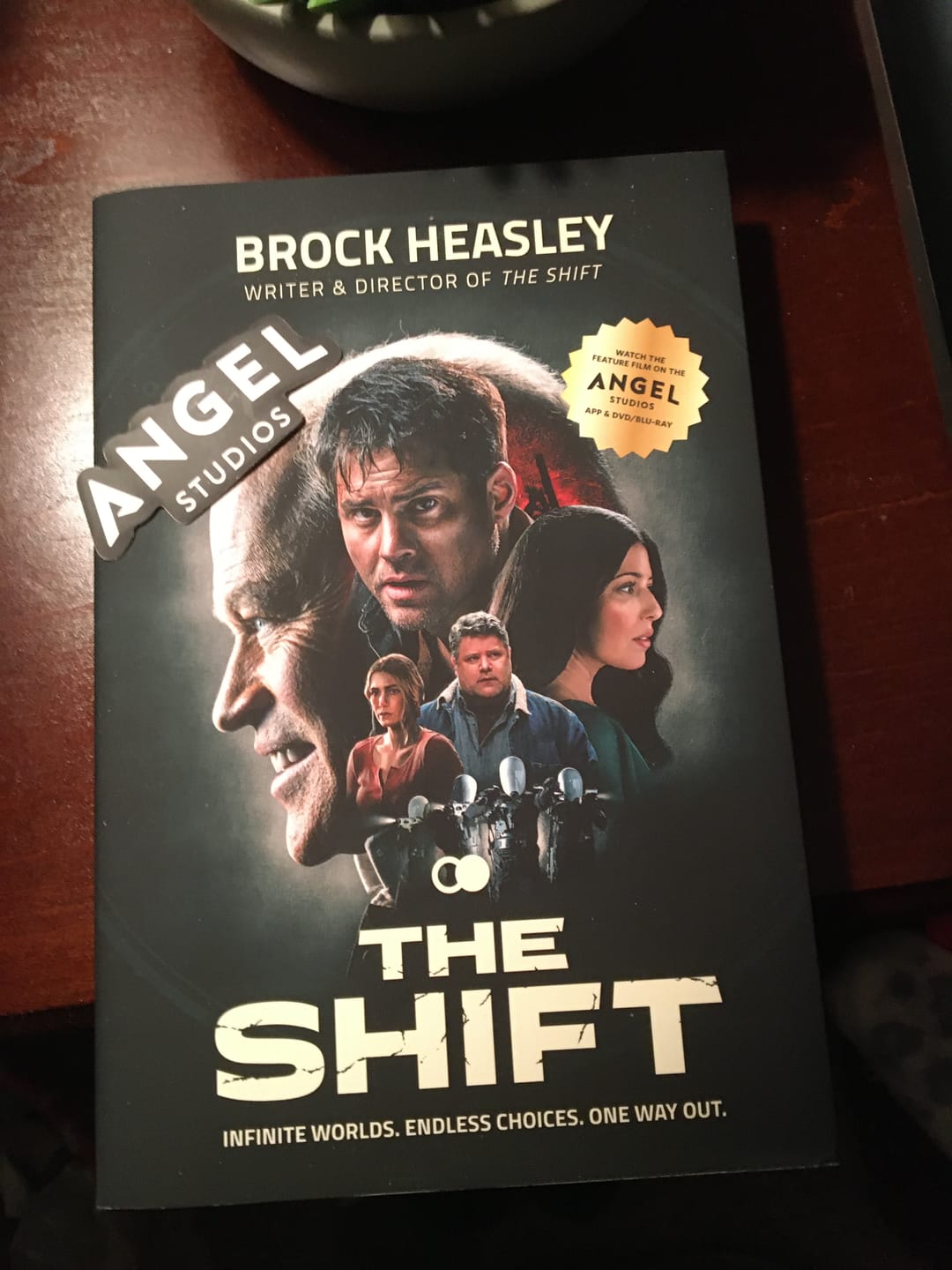 Customer photo review of The Shift Novel