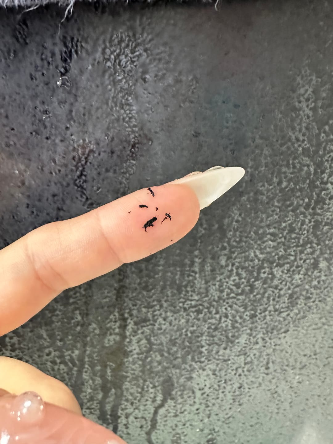 Customer photo review of Lash Growth Serum Infused Tubing Mascara – Giali Beauty