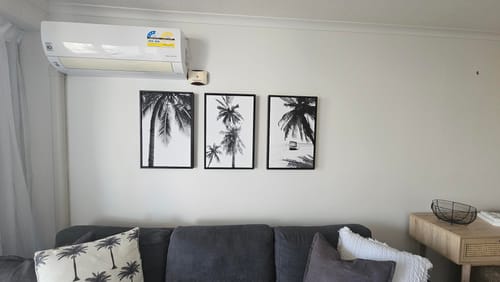 Customer photo review of In the Shade of the Palm Trio