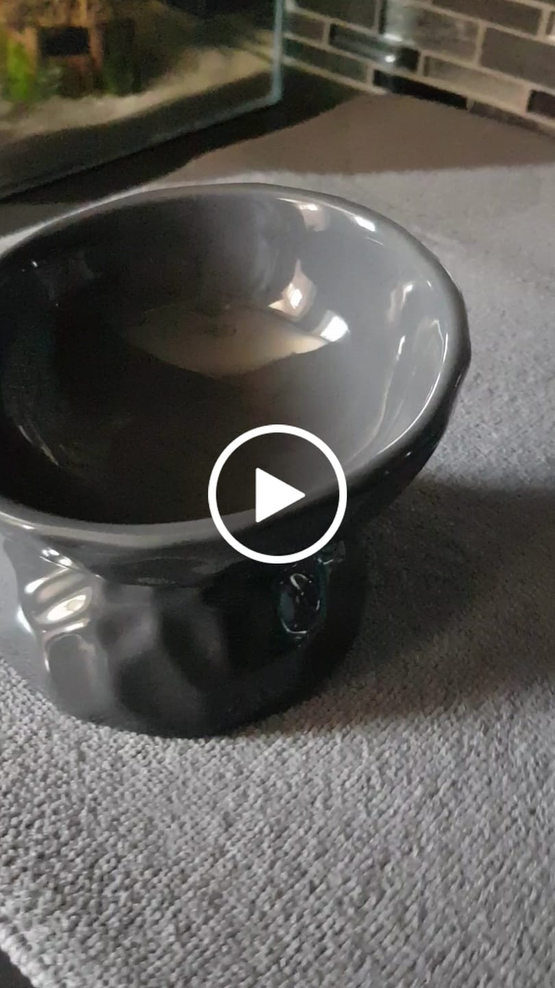 Customer video review of Ceramic Raised Pet Bowl for Cats and Dogs