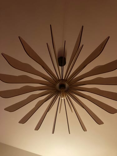 Customer photo review of Aurora | Suspension