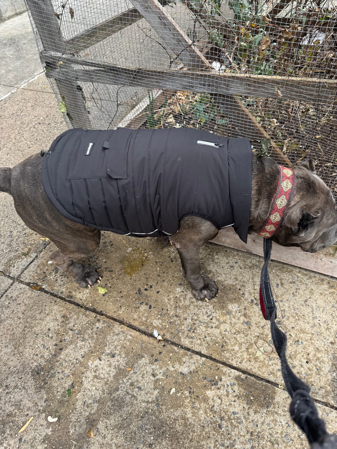 Customer photo review of WarmShield Water-Resistant Jacket - Black