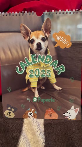 Customer photo review of PUPVOTE: 2025 Cutest Pet Calendar (Official Edition)