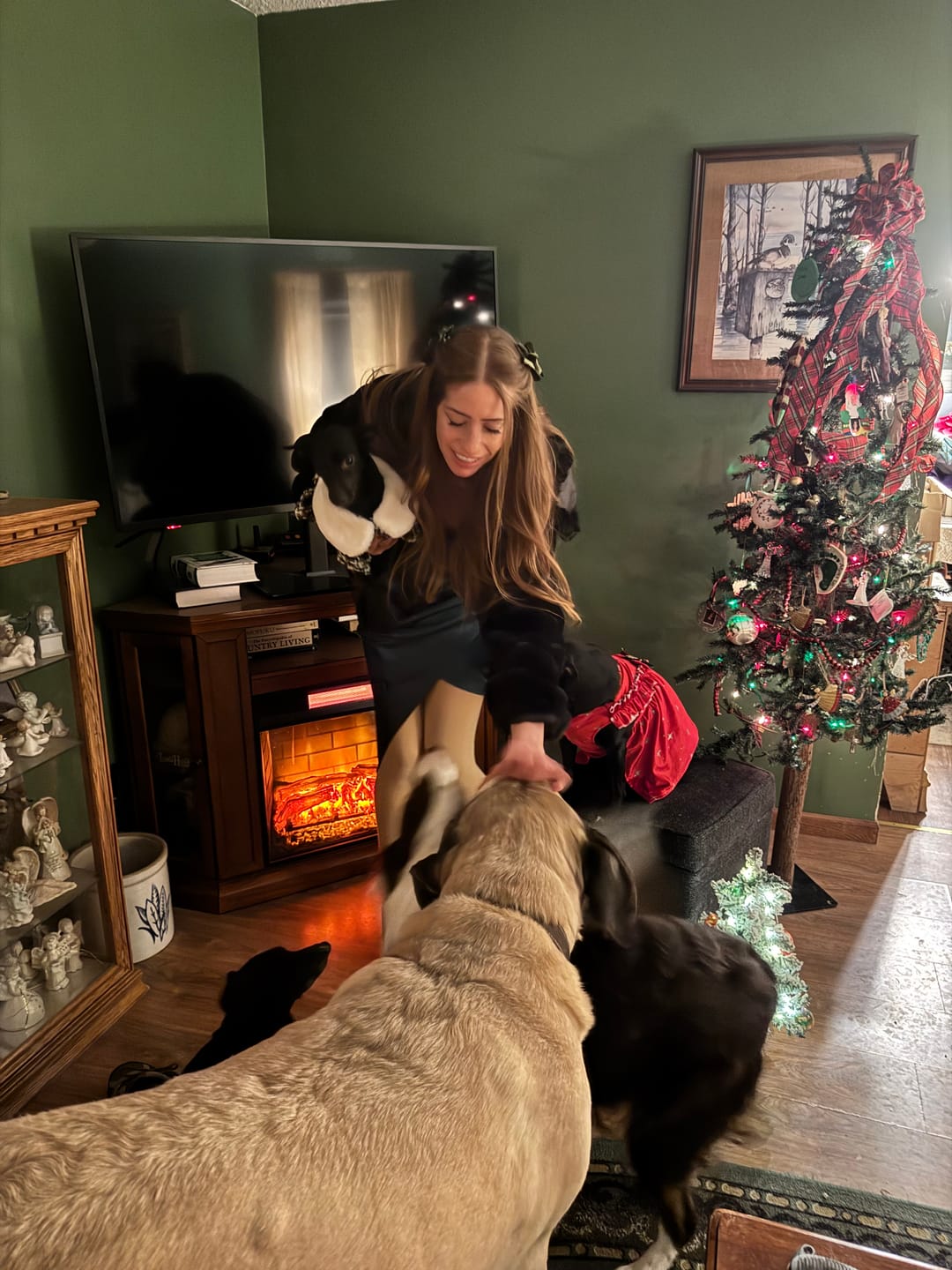 Customer photo review of Wild Alaskan Salmon Oil for Dogs | Omega 3, 6 & 9 | Petsmont Omega Love+