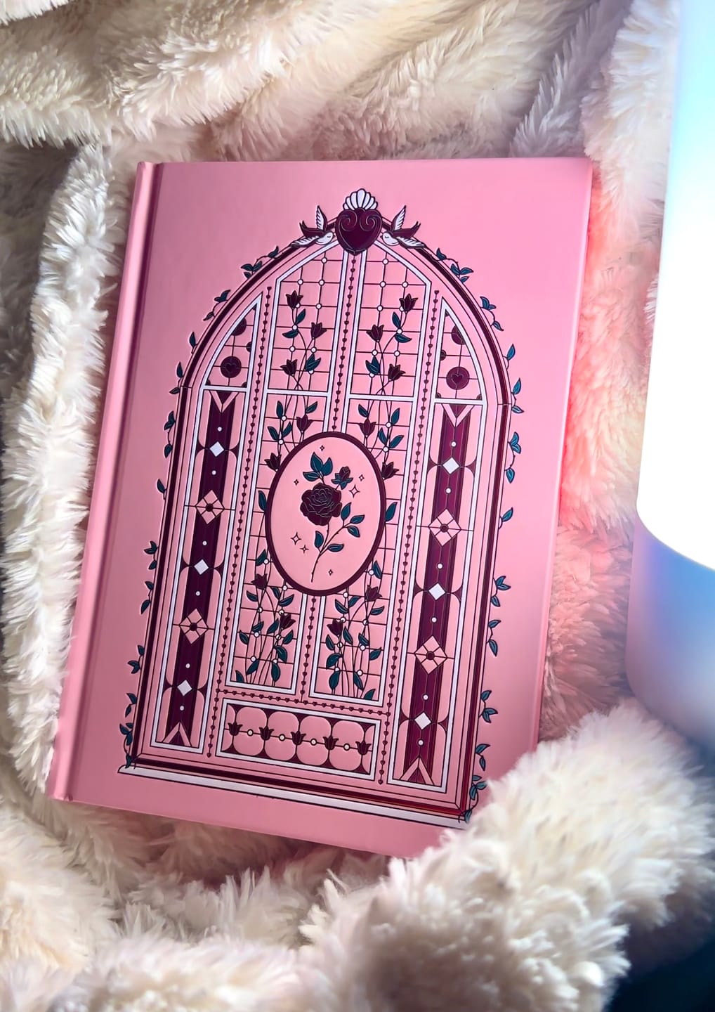Customer photo review of Lust & Longing Journal