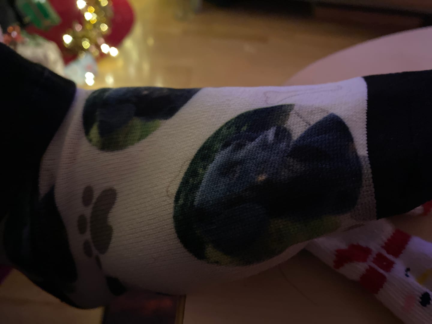 Customer photo review of FaceSock | Custom Dog Socks With Photo