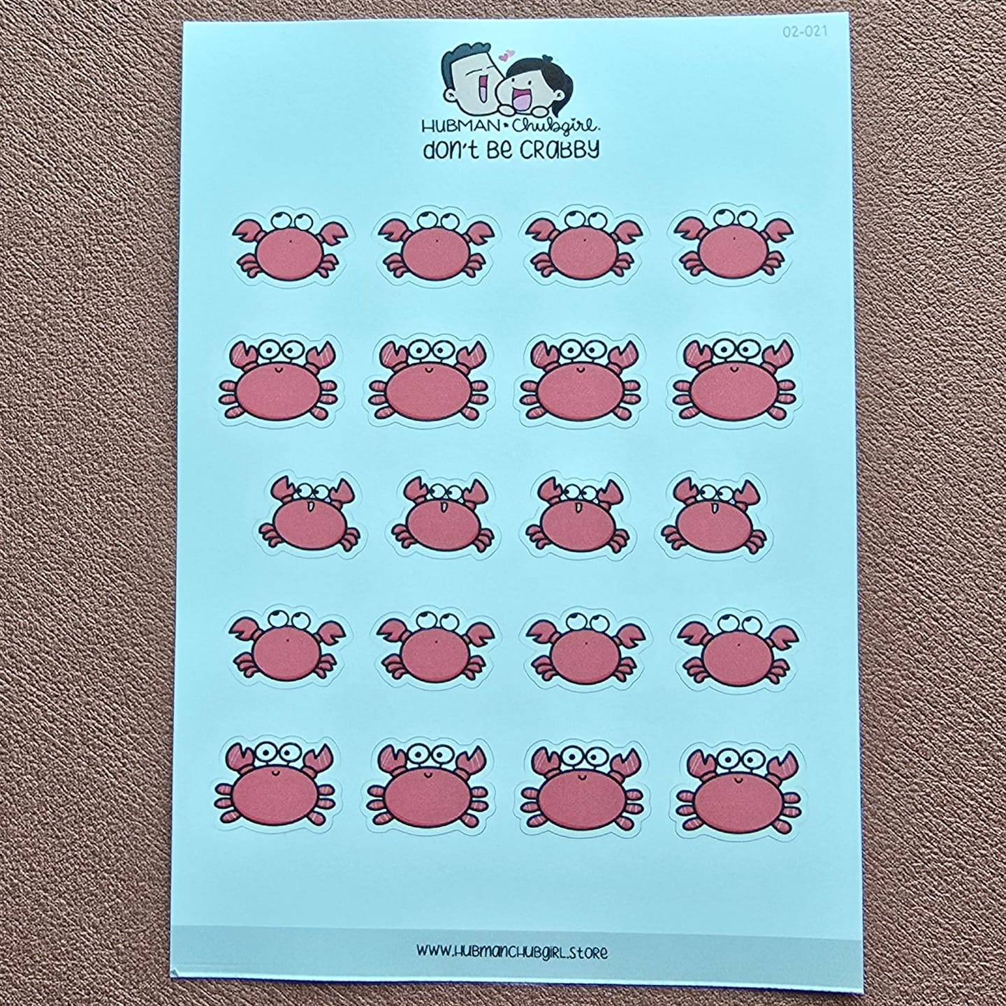 Customer photo review of Don't Be Crabby Planner Stickers
