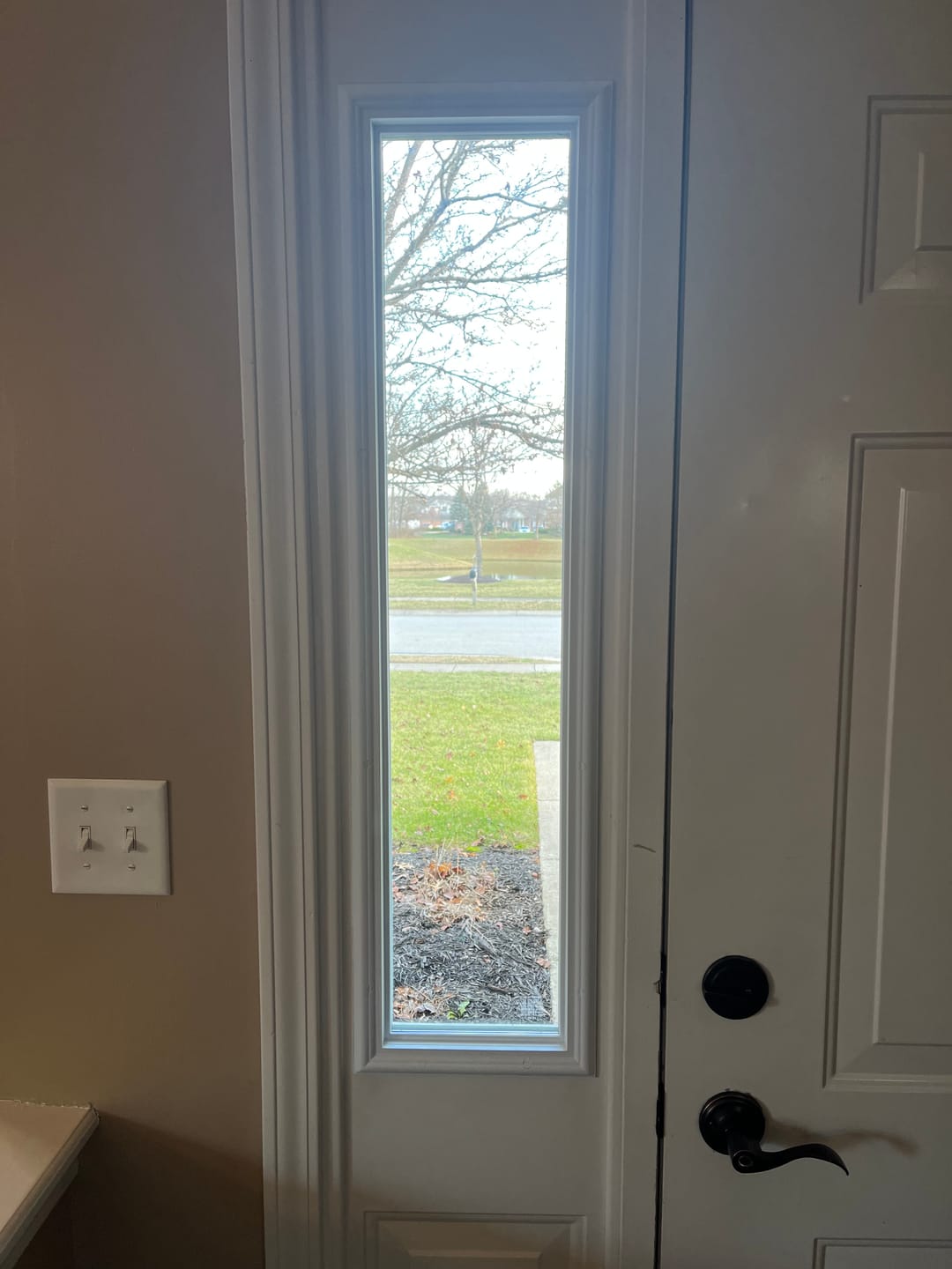 Customer photo review of Clear 1 Lite Glass and Frame Kit (Half Sidelite)