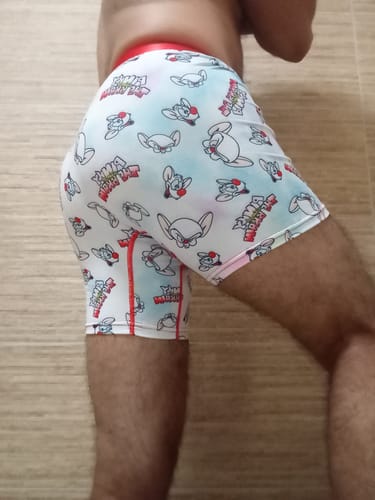 Customer photo review of SWAG - Pinky and the Brain Boxers