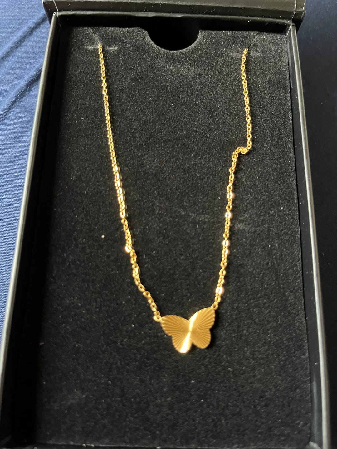 Customer photo review of Butterfly Symbol Necklace