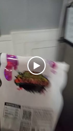 Customer video review of Shipping Protection by Route