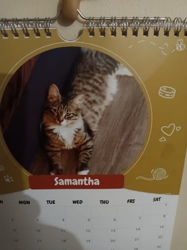 Customer photo review of PUPVOTE: 2025 Cutest Pet Calendar (Official Edition)