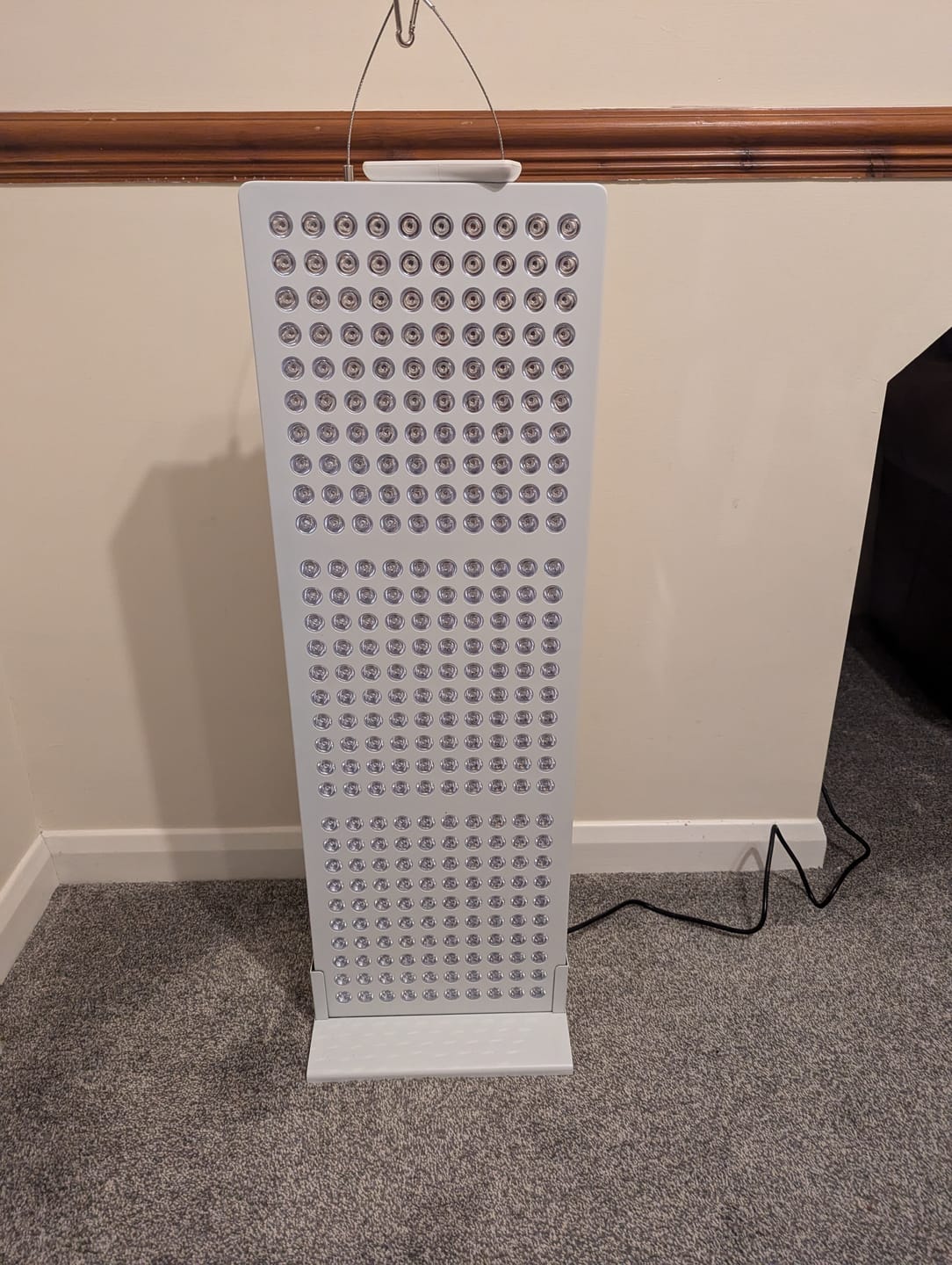 Customer photo review of bodybud™ Mega NIR Red Light Therapy Panel