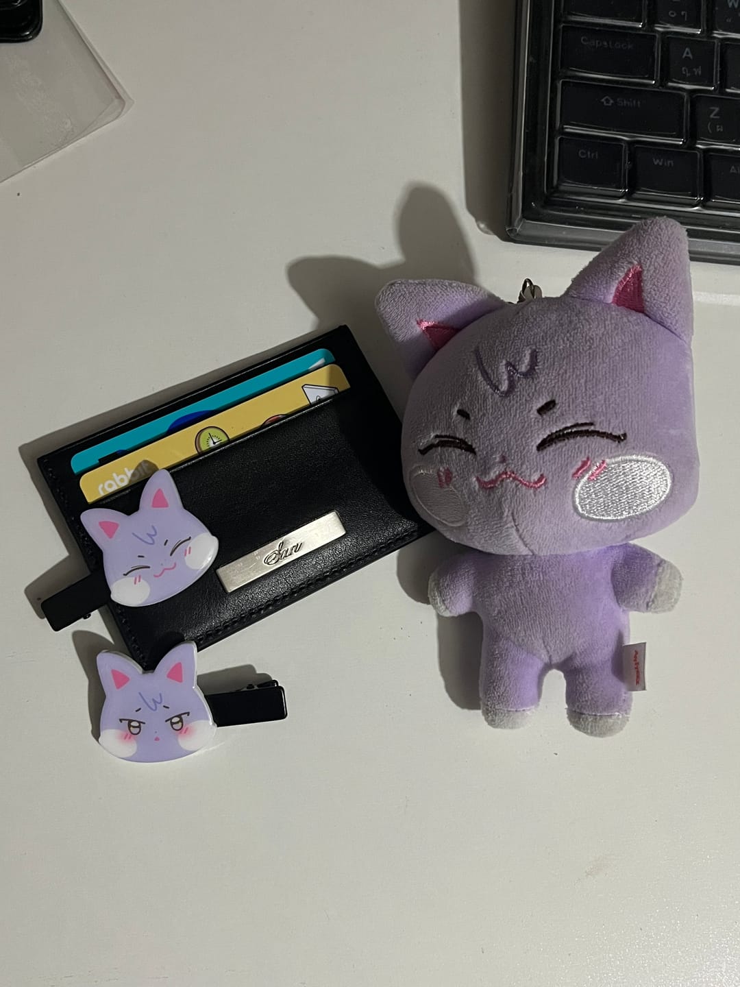 Customer photo review of ATEEZ SAN - SAN CARD WALLET : IN TINY POCKET