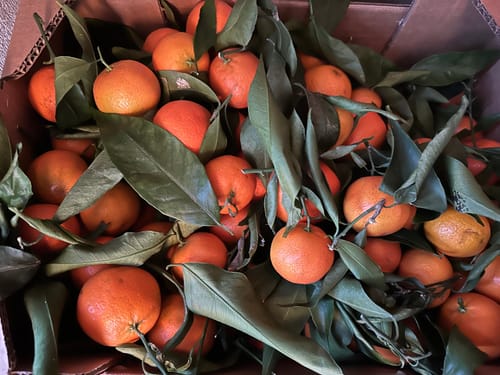 Nathalie D. review of Clémentines Bio - Origine Corse image 1 out of 1