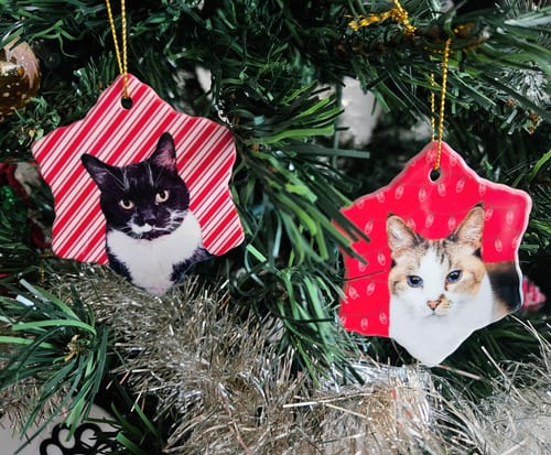 Customer photo review of Custom Pet Art Porcelain Ornaments