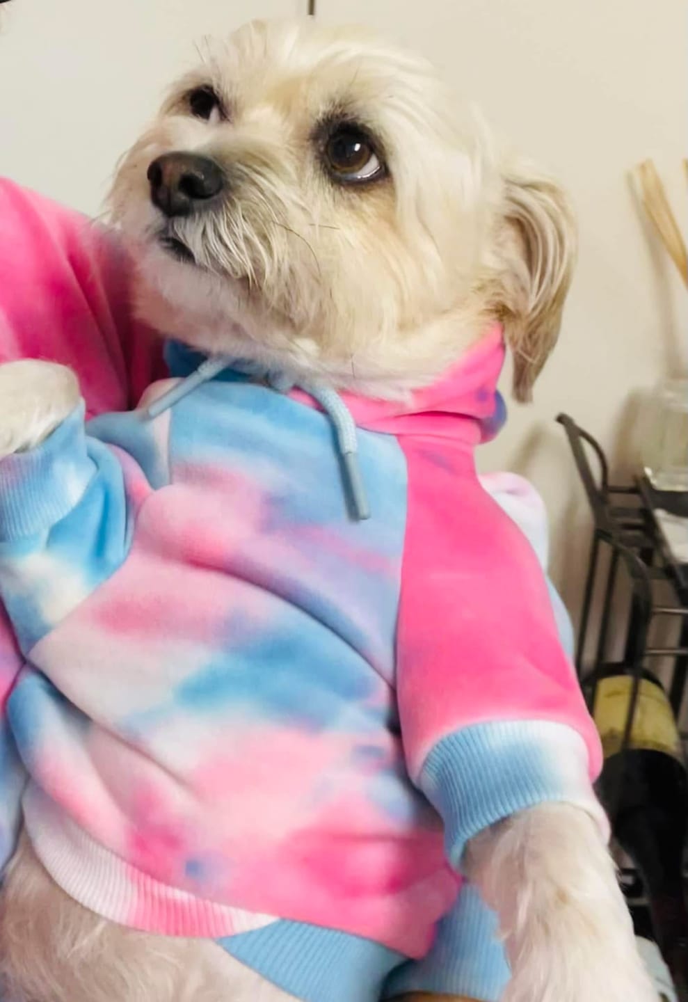 Customer photo review of Red Plaid Human Hoodie
