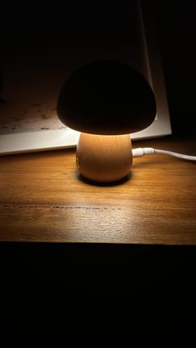 Customer photo review of Timber Mushie Lamp | Beech | Small