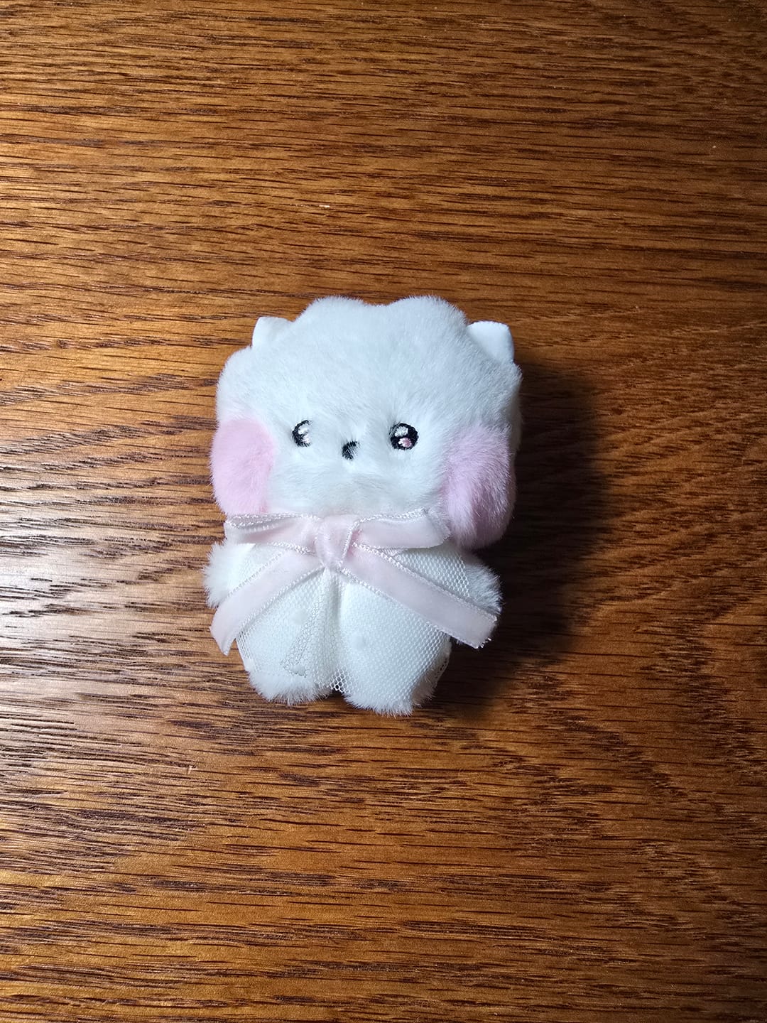 Customer photo review of BT21 - MINI MININI RIBBON EDITION DOLL