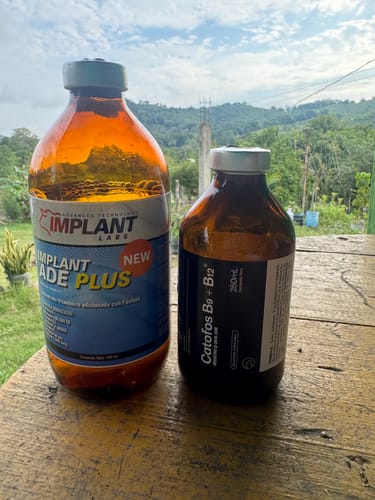 Customer photo review of Implant ADE plus