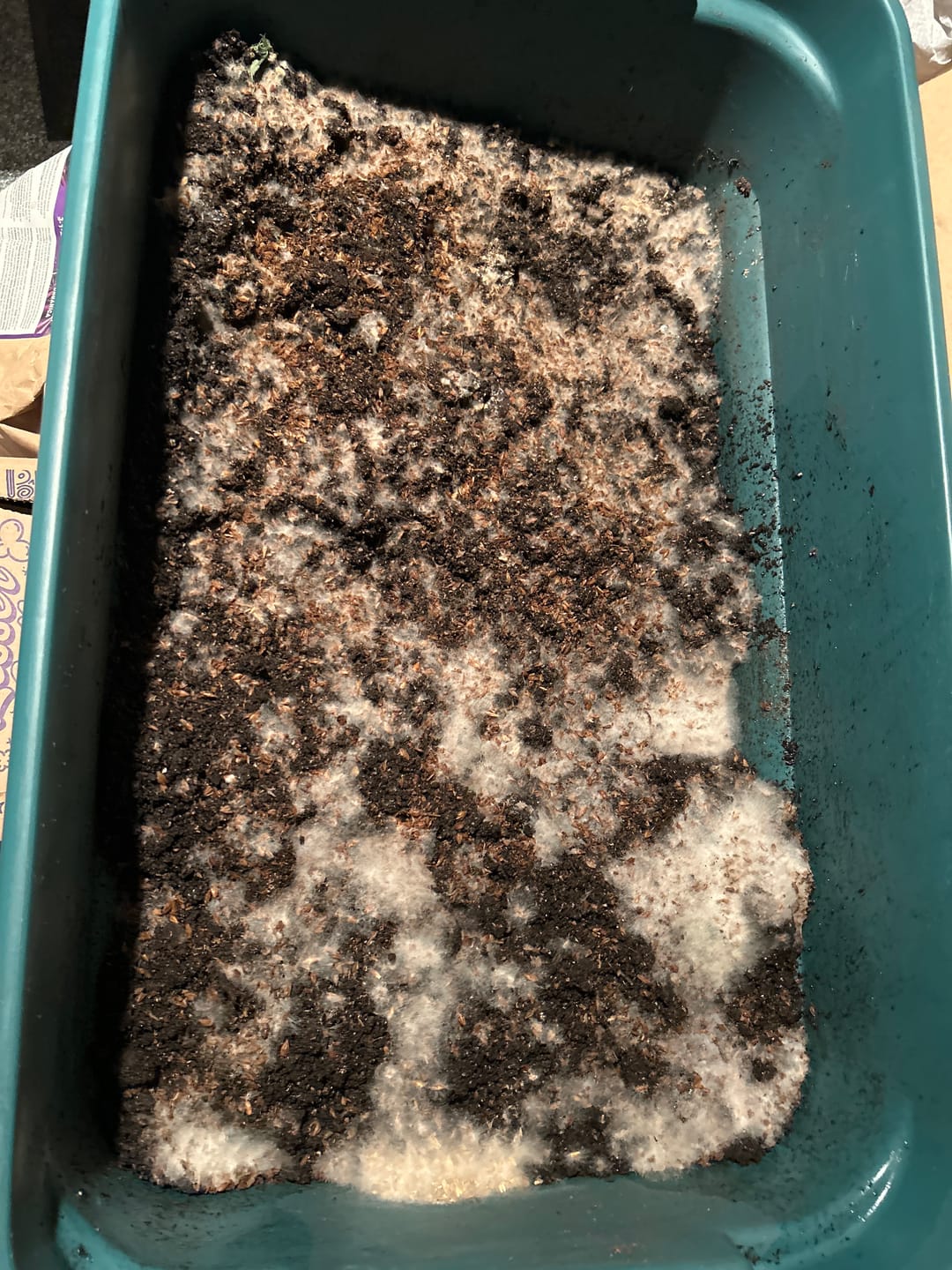 Customer photo review of BierKashi Bokashi 5 to 50 lbs