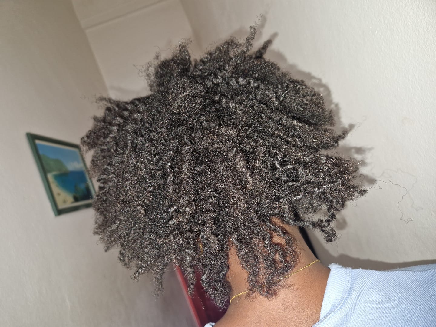 Customer photo review of Crème coiffante CAPINUTRI au Beurre de Mangue et Hibiscus – Nourrir vos Cheveux Bouclés, Frisés, Crépus