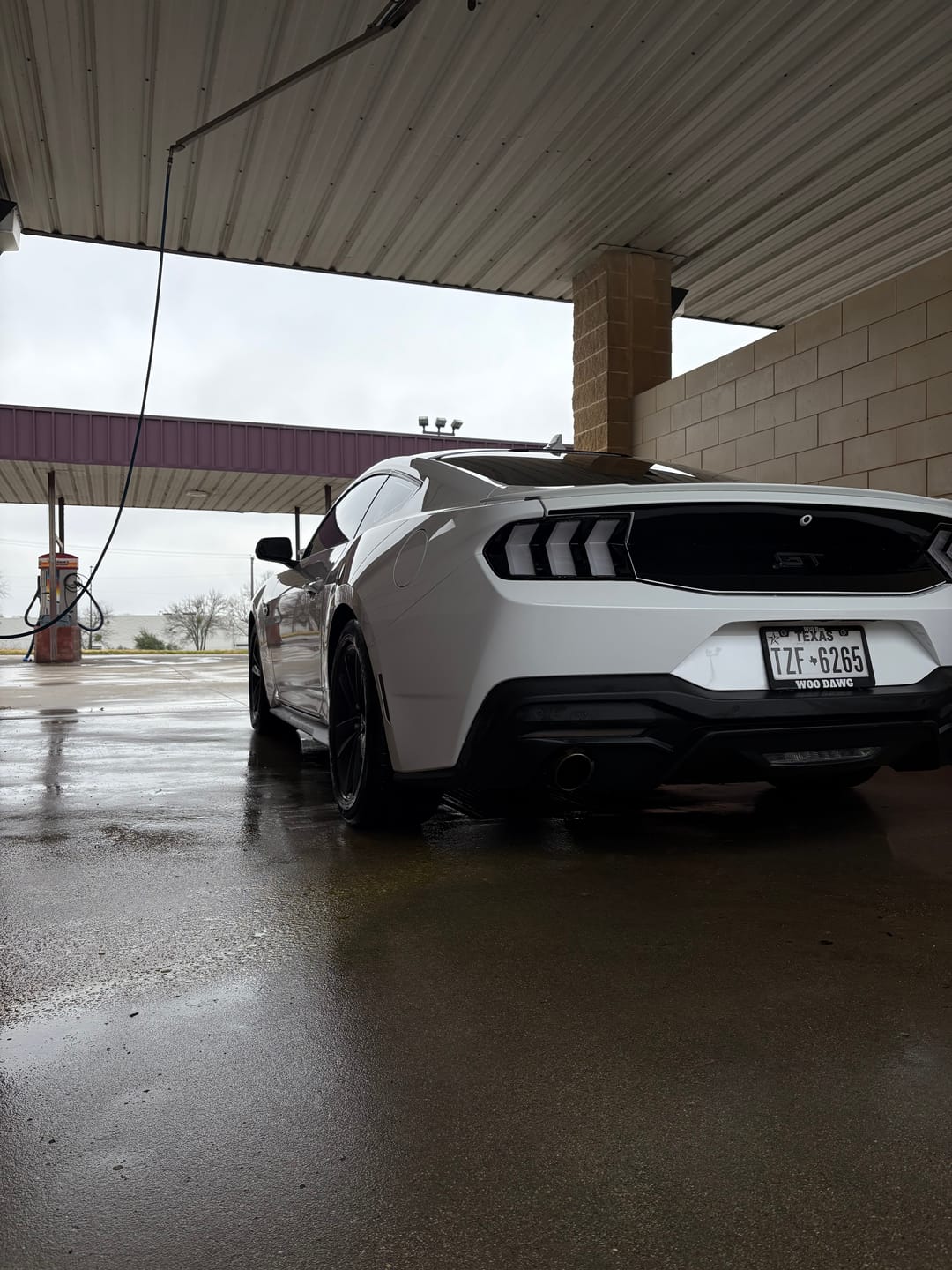 Customer photo review of 2024 + Ford Mustang S650 Euro Style Taillights Amber Turn Signal Sequential