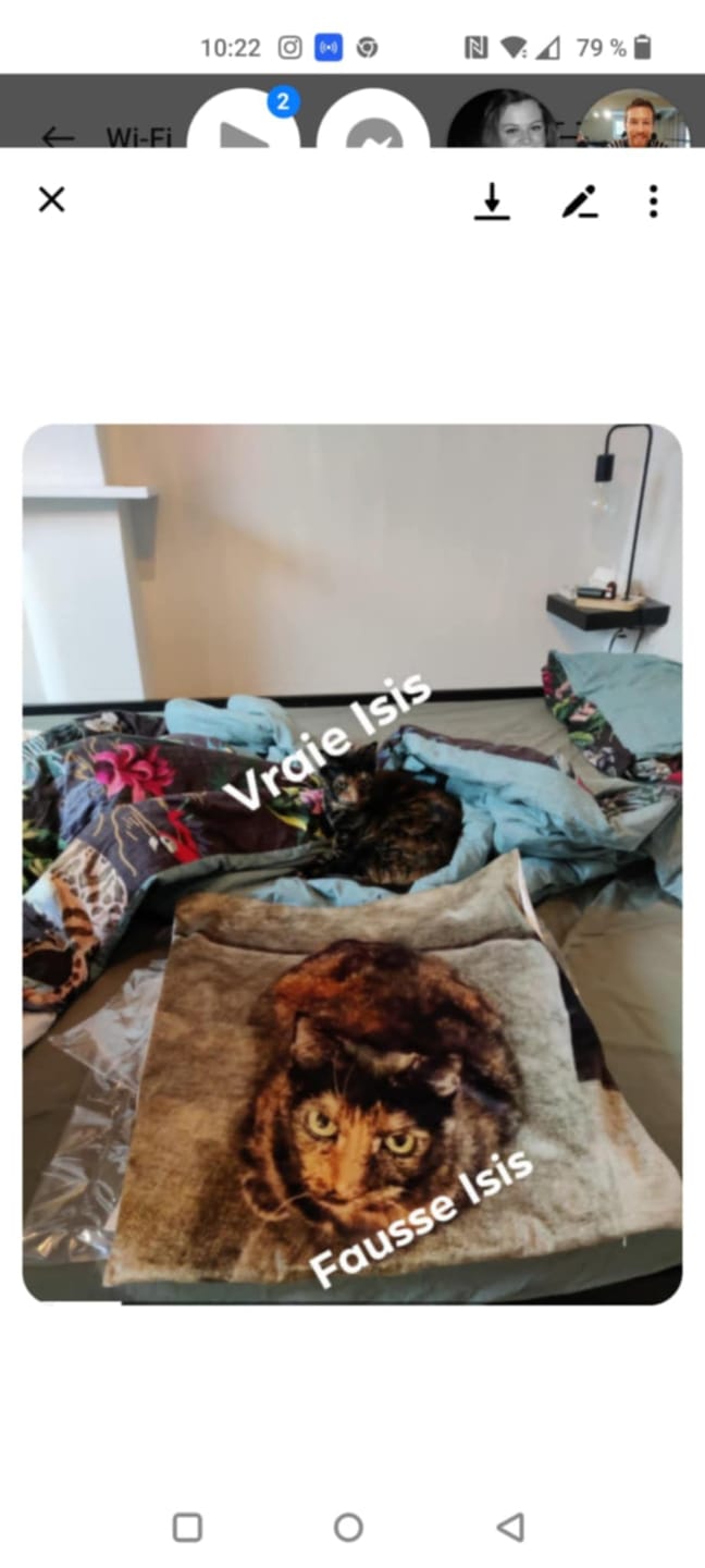 Customer photo review of Avec photo - Coussin personnalisé