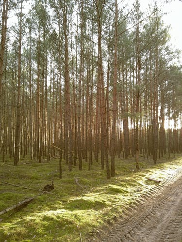 Customer photo review of NUVINT - Digitalkamera