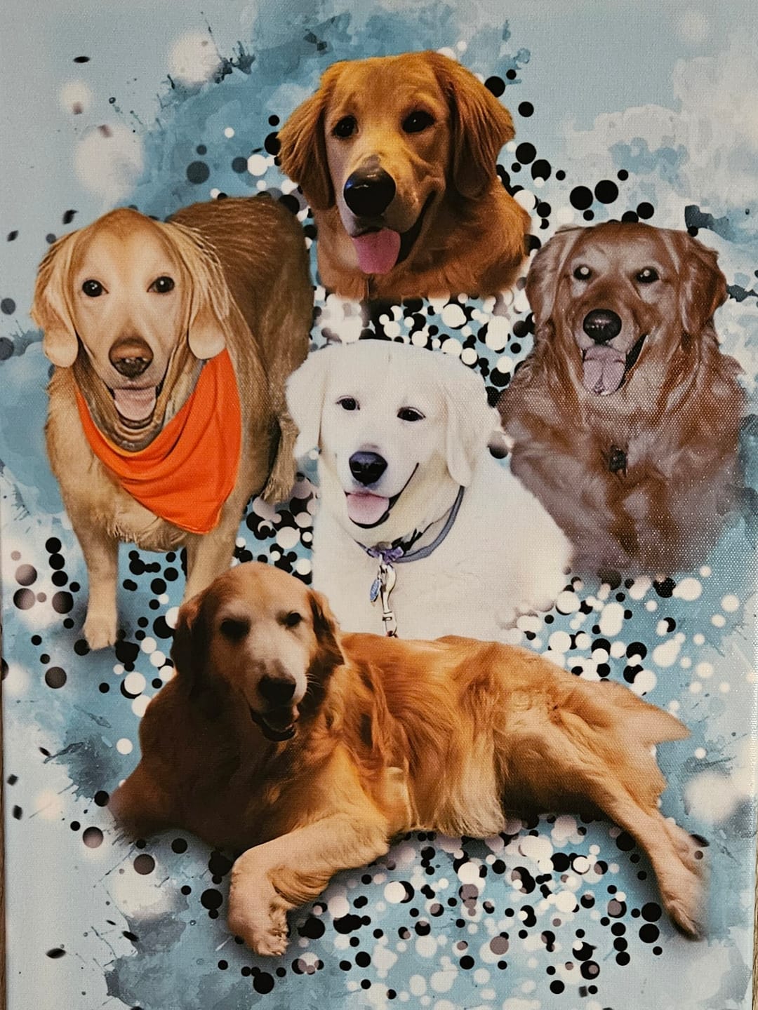 Customer photo review of Personalized Pet Art - Canvas