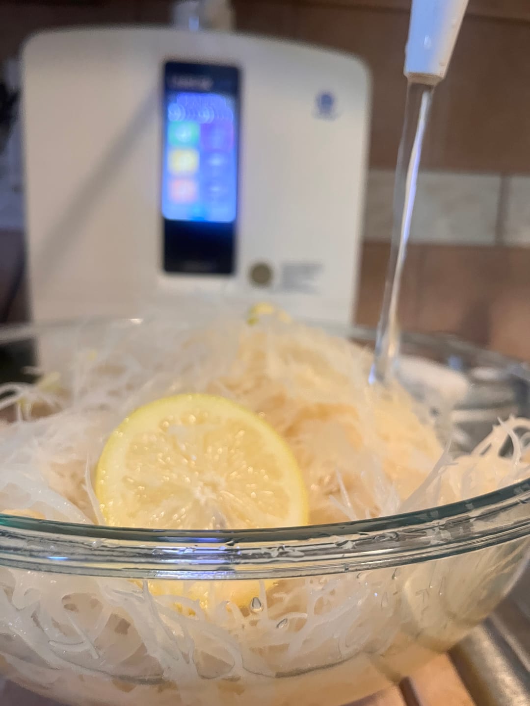 Customer photo review of Wildcrafted Sea Moss from the pristine waters of St. Lucia