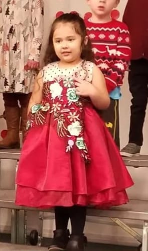 Customer photo review of Girl Christmas Dress Toddler and Baby Girl Princess Dress Red Embroidery Flower Girl Dress Birthday Party Dress