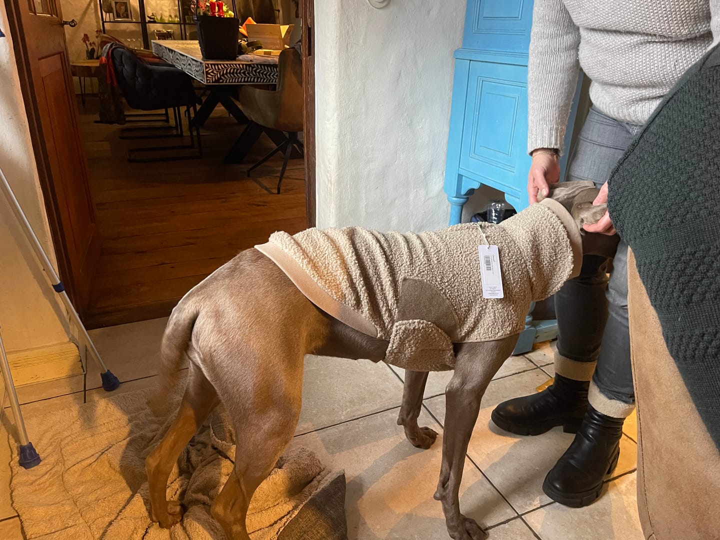 Customer photo review of Cloud7 Hundepullover Gotland Beige