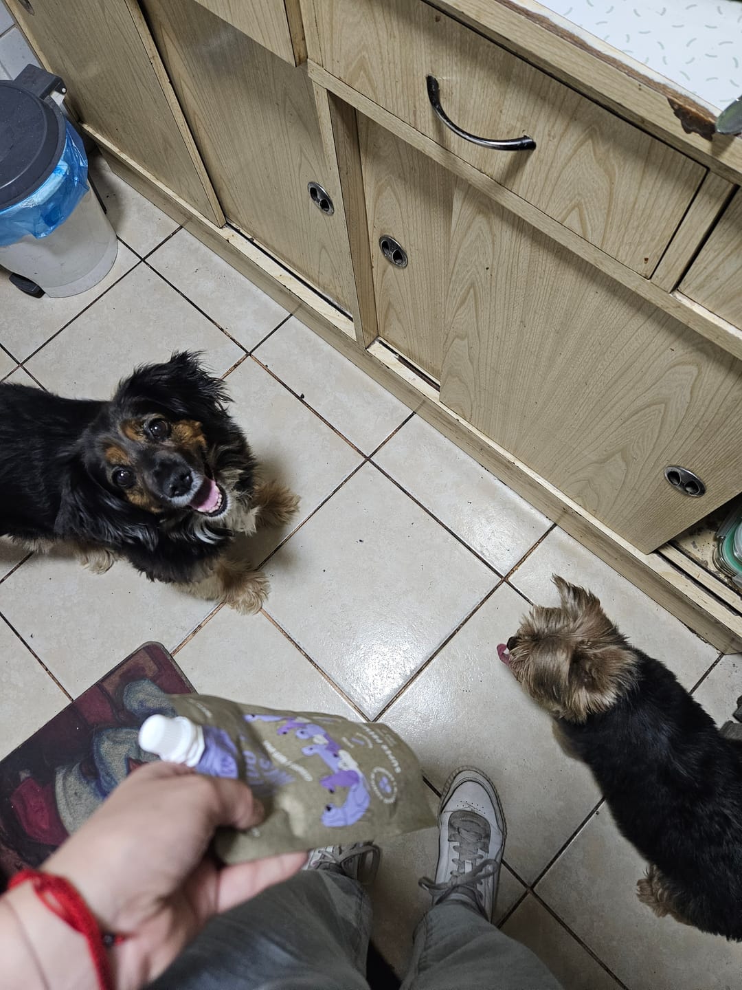 Customer photo review of Caldo de Huesos Perros