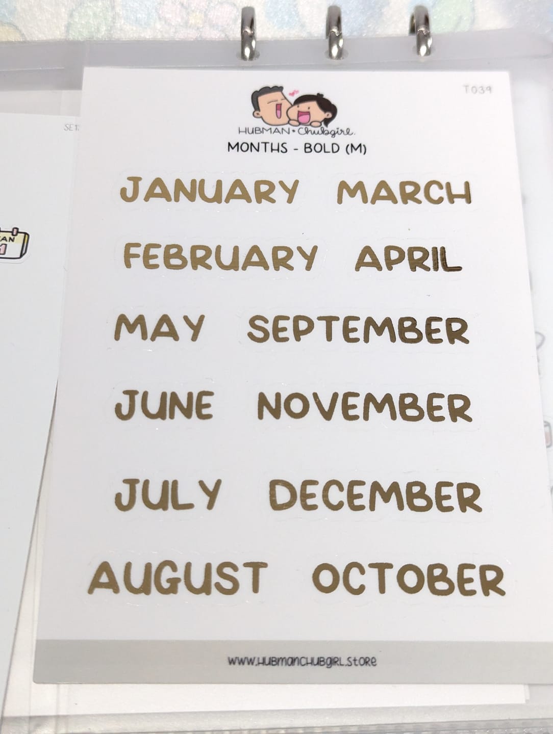 Customer photo review of Months - Bold Text (M) Planner Stickers