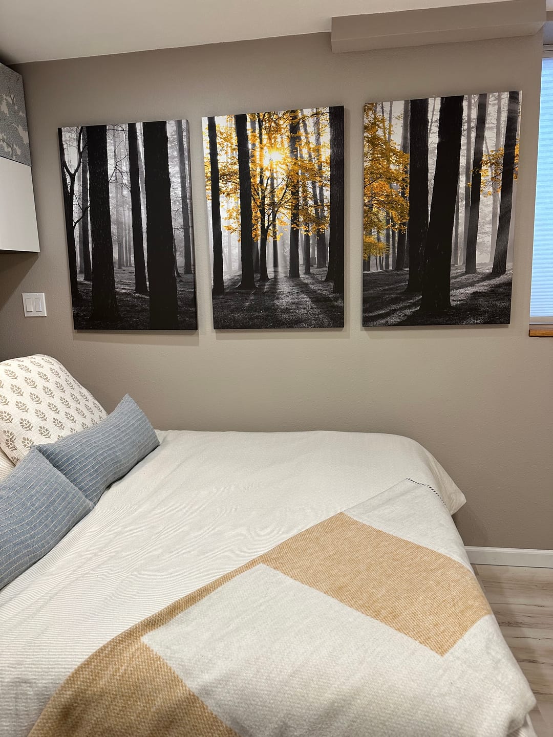 Customer photo review of Nature Misty Foggy Autumn Forest Canvas Wall Art Print