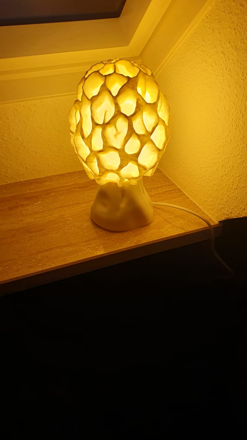 Customer photo review of Pilz Lampenschirm: Morchel Pilz