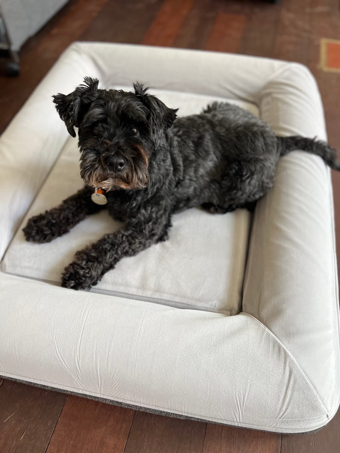Customer photo review of Kangaroo Bed - Medium