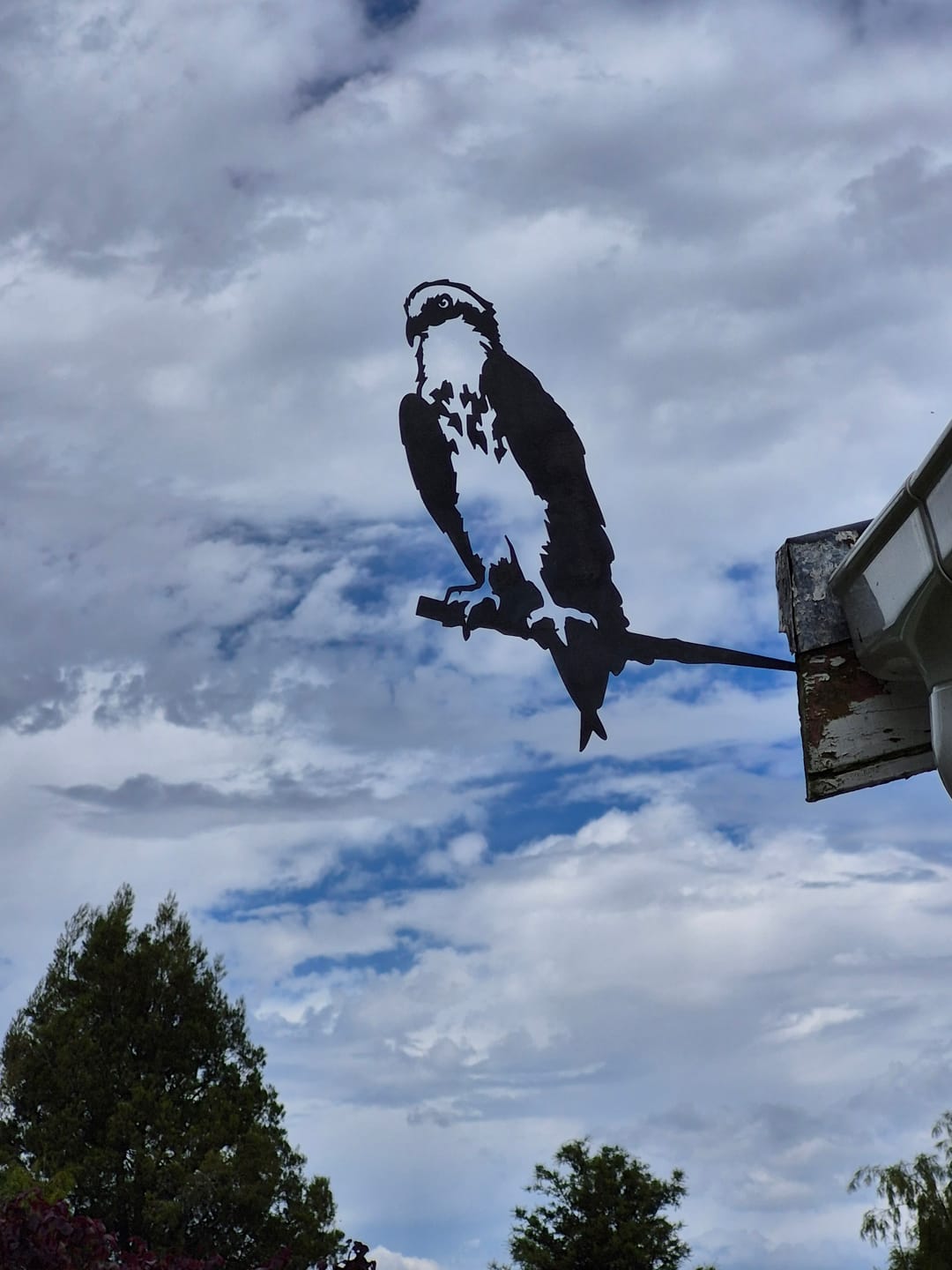 Customer photo review of Osprey