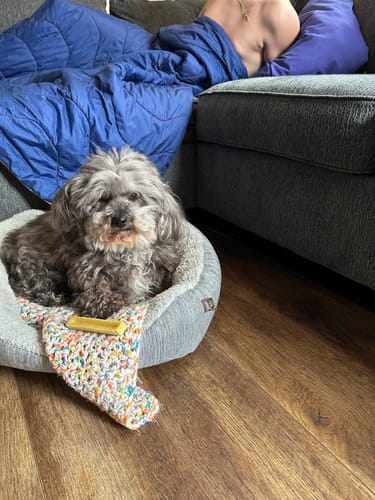 Customer photo review of TRADITIONAL HIMALAYAN YAK CHEWS | ALL SIZES