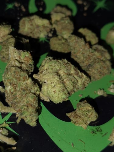 Customer photo review of Shipping Protection by Route