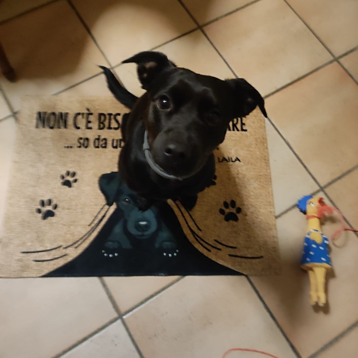 Customer photo review of Non c'è bisogno di suonare - Zerbino personalizzato