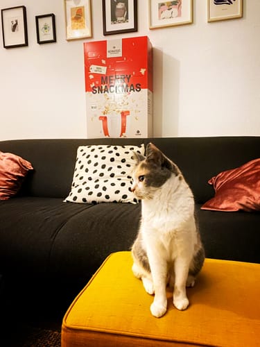 Customer photo review of ⏰ VORVERKAUF: Snack-Adventskalender 2024