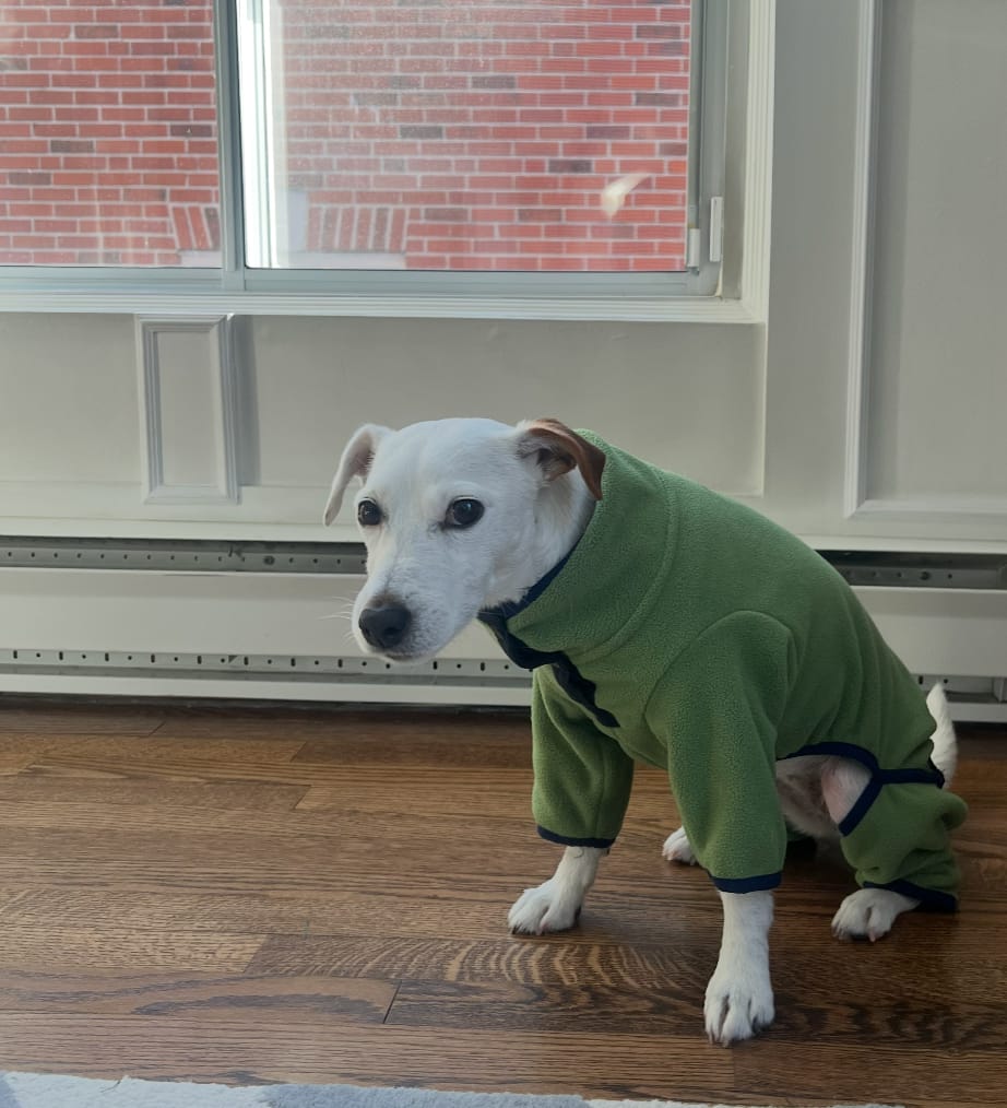 Customer photo review of NEW Fleece Pull-Over